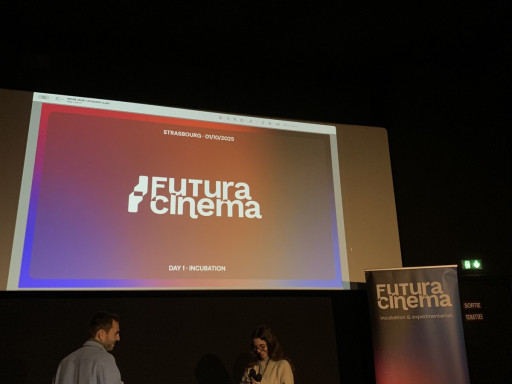Incubation Programme © Futura Cinema